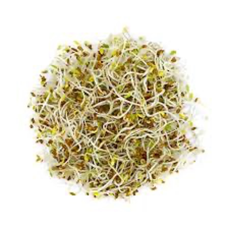 Alfalfa Pousse 100g