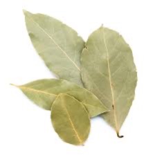 Bay Leaves