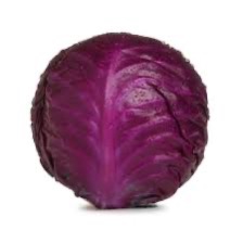 Cabbage Red