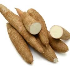 Cassava