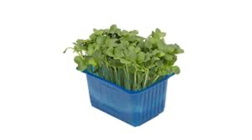 Daikon Cress Top Seal