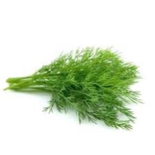 Dill