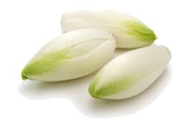 Endive Belgian Fine