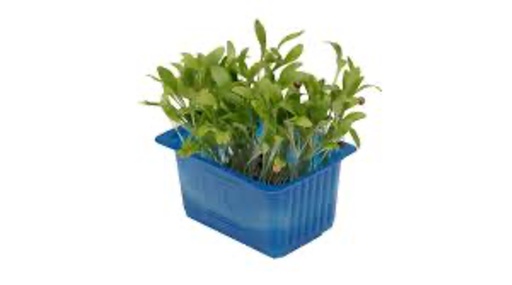 Ghoa Cress Top Seal