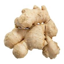 Ginger Root