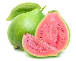 Guava Fruit