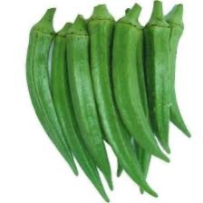 Ladyfinger/Okra