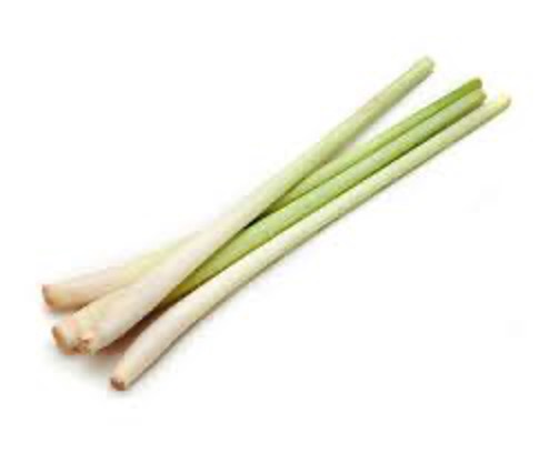 Lemon Grass