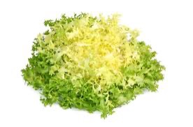 Lettuce Frisee Yellow