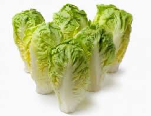 Lettuce Little Gem