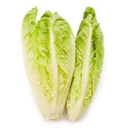 Lettuce Romaine [2 pieces]