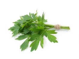 Lovage