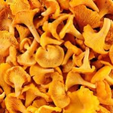 Champignon Girolles 1kg