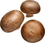 Champignons Marron 1kg