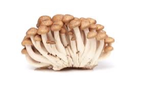 Champignons shimeji marron 150g