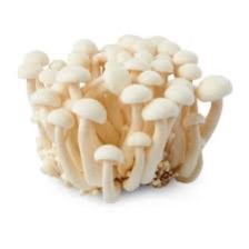 Champignons shimeji blanc  150g