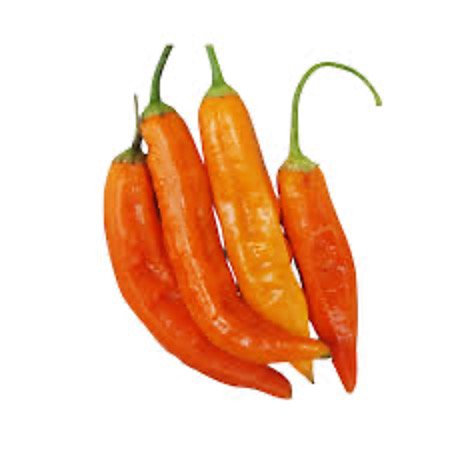 Pepper Chili Aji Amarillo