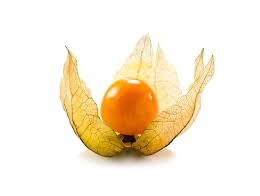 Physalis barquette 100g