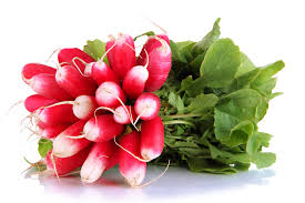 Radish Red Long With Leaves [Bunch]