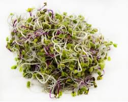 Radish Sprouts [punnet] 100g