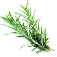 Rosemary