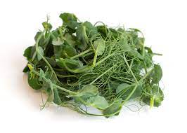 Pea Shoot/Pea Salad