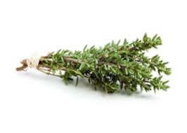 Thyme