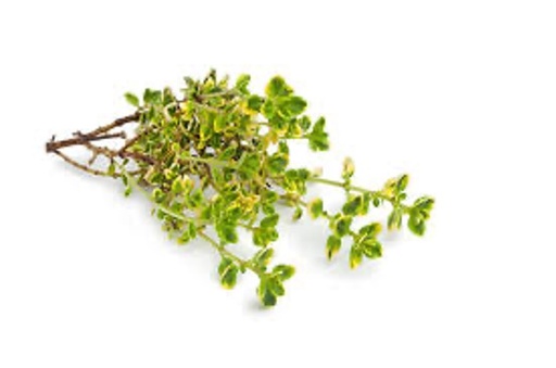 Thyme Lemon