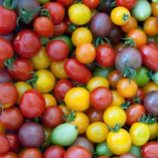 Tomate cerise ancienne 1kg