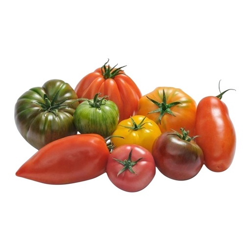 Tomate ancienne 1kg