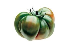 Tomate RAF verte 1kg