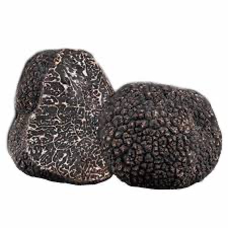 Truffles Black Fresh