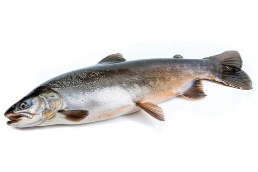 Artic Char Whole 1-2kg