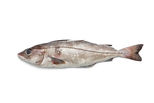 Haddock Whole 2-3kg