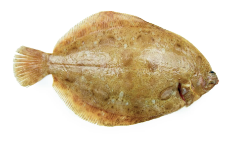 Lemon Sole Whole 350-450g