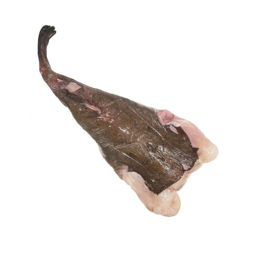 Monkfish Tail 1-2kg