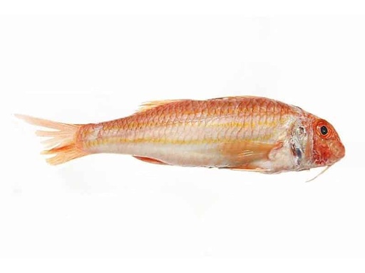 Red Mullet Whole 100-200g