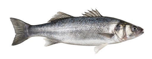 Sea Bass Whole Farmed 2-2.5kg