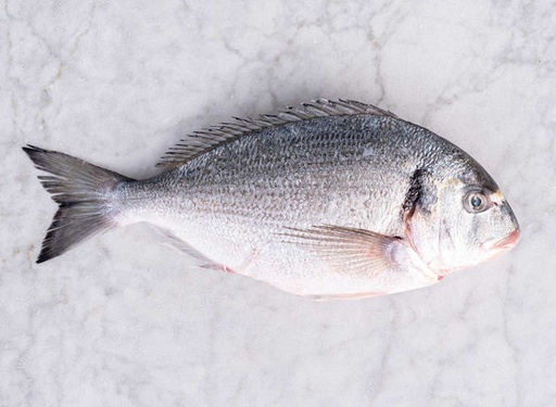 Sea Bream Whole Farmed 1-2kg