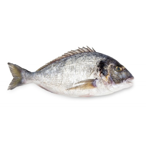 Sea Bream Whole Wild 3-4kg