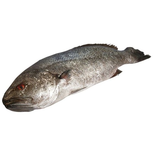 Stone Bass Whole 2-3kg