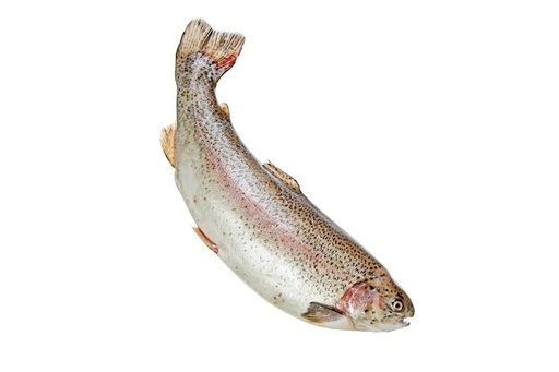 Trout Farmed Whole 3kg