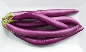 Aubergine Asiatique Longue