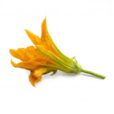 Courgette Flowers