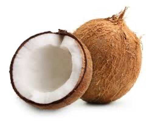 Coconut Brown Shell