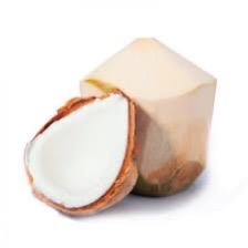 Coconut Young White