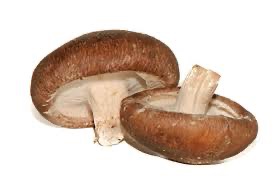 Mushroom Shitake