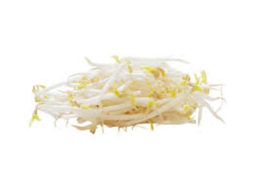 Bean Sprouts