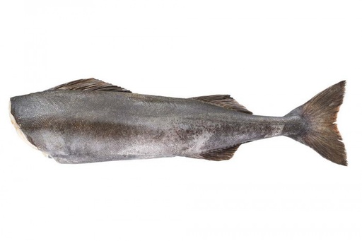 Cod Whole Without Head 4-6kg