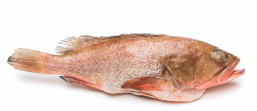 Grouper Whole 5-10kg